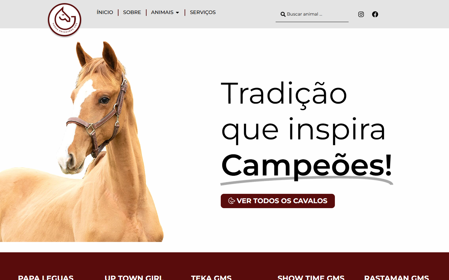 Haras Primavera